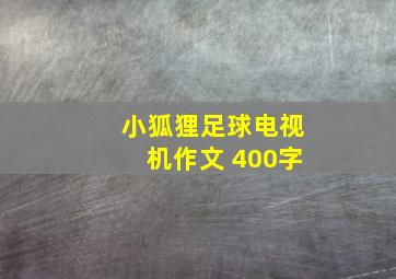 小狐狸足球电视机作文 400字